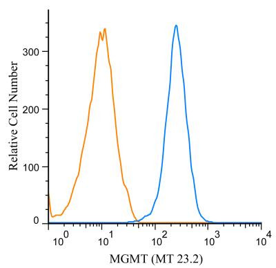 MGMT Antibody in Flow Cytometry (Flow)