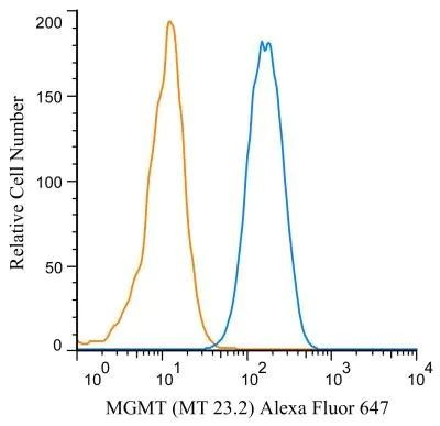 MGMT Antibody in Flow Cytometry (Flow)