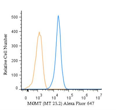 MGMT Antibody in Flow Cytometry (Flow)