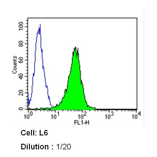 Caveolin 1 Antibody in Flow Cytometry (Flow)