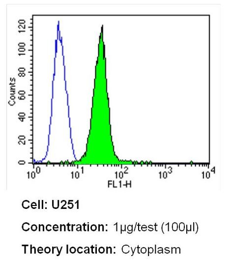 CaV1.1 Antibody in Flow Cytometry (Flow)