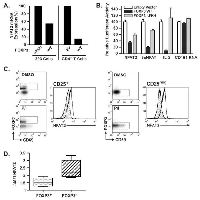 NFATC1 Antibody in Flow Cytometry (Flow)