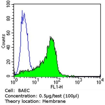 CD31 Antibody in Flow Cytometry (Flow)