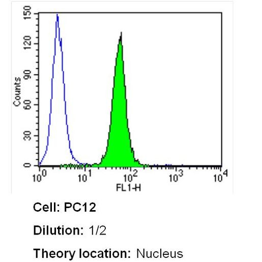 PCNA Antibody in Flow Cytometry (Flow)