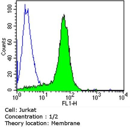 CD2 Antibody in Flow Cytometry (Flow)