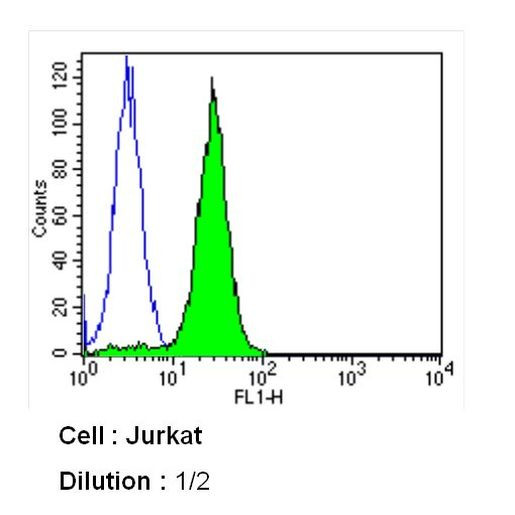 Transferrin Receptor Antibody in Flow Cytometry (Flow)