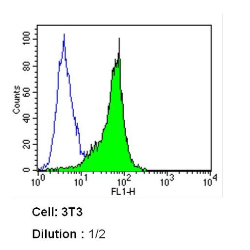 Transferrin Receptor Antibody in Flow Cytometry (Flow)