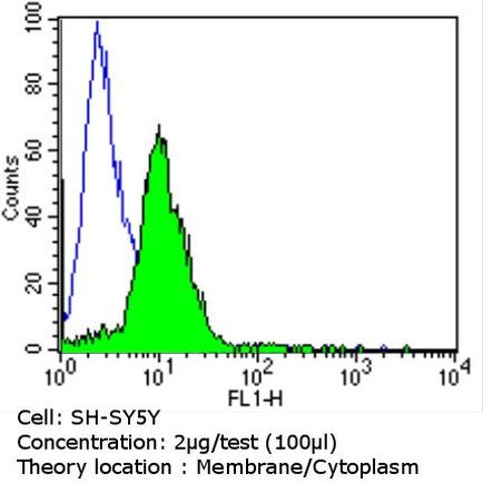 NGFR Antibody in Flow Cytometry (Flow)