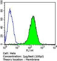 CD155 Antibody in Flow Cytometry (Flow)