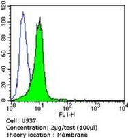 CD155 Antibody in Flow Cytometry (Flow)