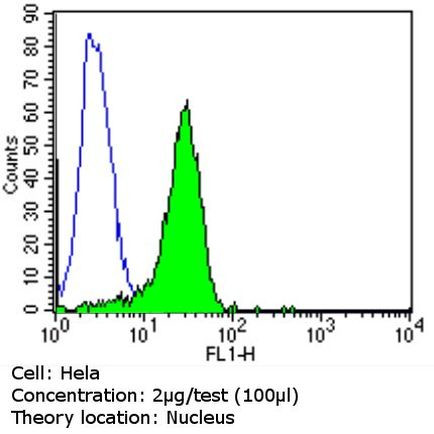 MGMT Antibody in Flow Cytometry (Flow)