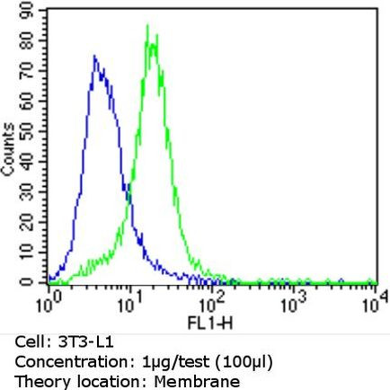 CD36 Antibody in Flow Cytometry (Flow)