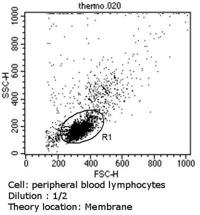 CD23 Antibody in Flow Cytometry (Flow)