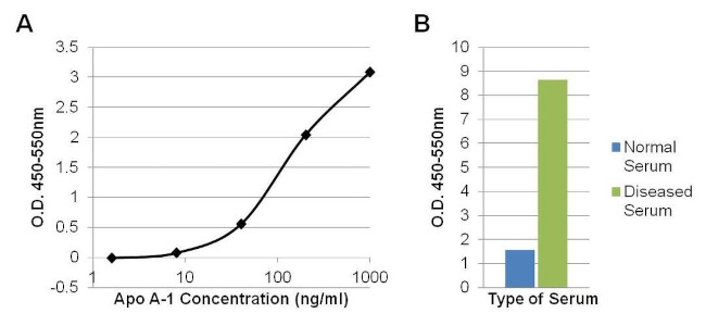 ApoA1 Antibody