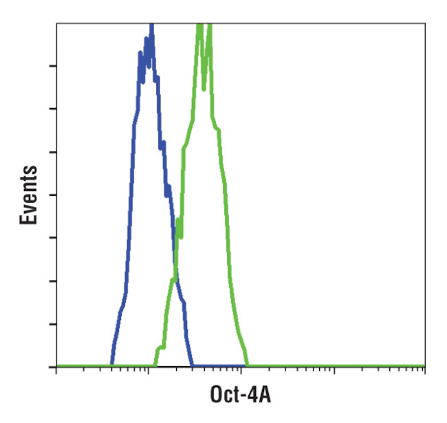 OCT4 Antibody in Flow Cytometry (Flow)