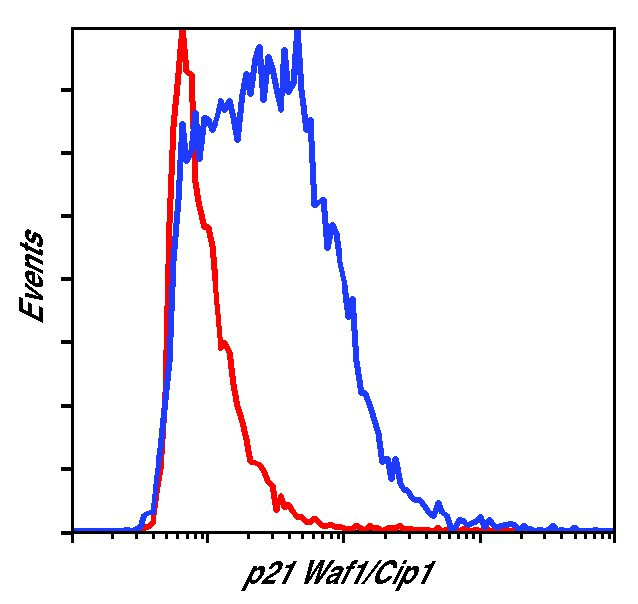 p21 Antibody in Flow Cytometry (Flow)