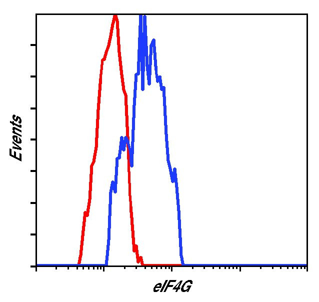 eIF4G Antibody in Flow Cytometry (Flow)