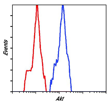 AKT Pan Antibody in Flow Cytometry (Flow)