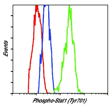 Phospho-STAT1 (Tyr701) Antibody in Flow Cytometry (Flow)