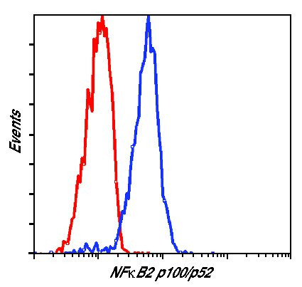 NFkB p52 Antibody in Flow Cytometry (Flow)