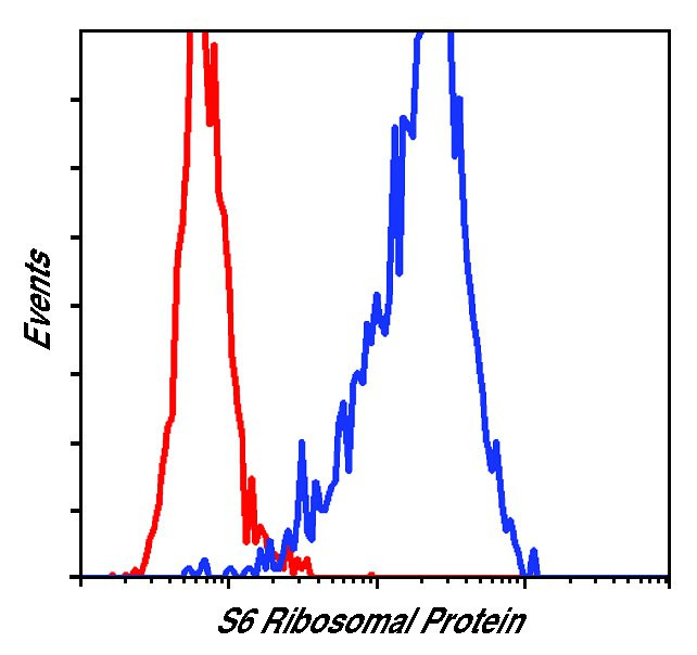 S6 Antibody in Flow Cytometry (Flow)