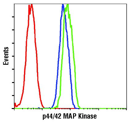 ERK1/ERK2 Antibody in Flow Cytometry (Flow)