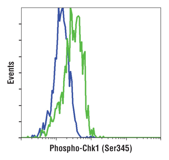 Phospho-CHK1 (Ser345) Antibody in Flow Cytometry (Flow)