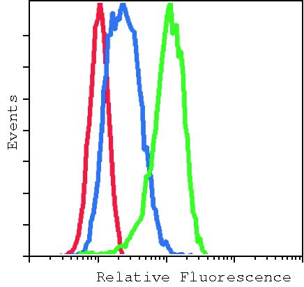 Phospho-p38 MAPK (Thr180, Tyr182) Antibody in Flow Cytometry (Flow)