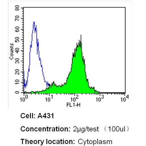 beta Actin Loading Control Antibody in Flow Cytometry (Flow)