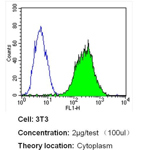 beta Actin Loading Control Antibody in Flow Cytometry (Flow)