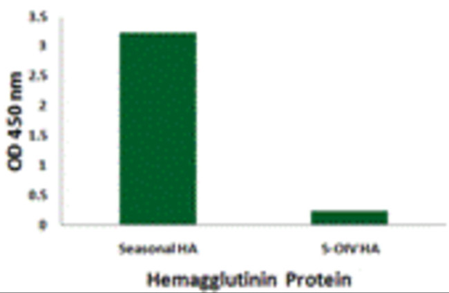 Influenza A H1N1 HA Antibody in ELISA (ELISA)