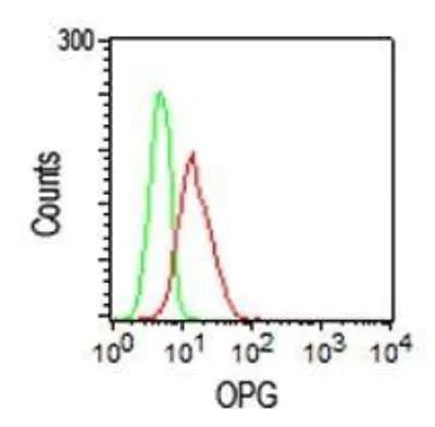 TNFRSF11B Antibody in Flow Cytometry (Flow)