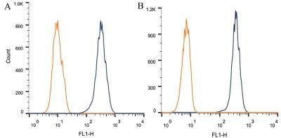 ABCA1 Antibody in Flow Cytometry (Flow)