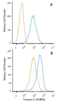 Tenascin C Antibody in Flow Cytometry (Flow)