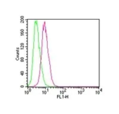 IKK beta Antibody in Flow Cytometry (Flow)