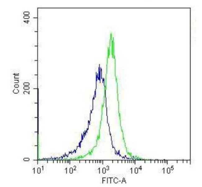 TLR4 Antibody in Flow Cytometry (Flow)