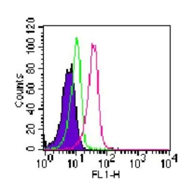 ROR gamma Antibody in Flow Cytometry (Flow)