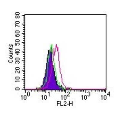 ROR gamma Antibody in Flow Cytometry (Flow)