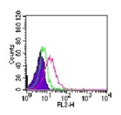 ROR gamma Antibody in Flow Cytometry (Flow)