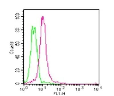 MyD88 Antibody in Flow Cytometry (Flow)