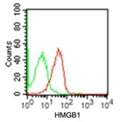 HMGB1 Antibody in Flow Cytometry (Flow)