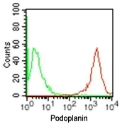 Podoplanin Antibody in Flow Cytometry (Flow)