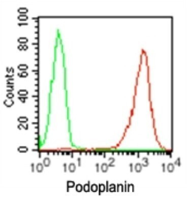 Podoplanin Antibody in Flow Cytometry (Flow)