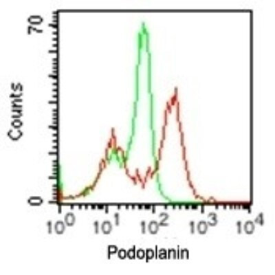 Podoplanin Antibody in Flow Cytometry (Flow)