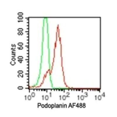 Podoplanin Antibody in Flow Cytometry (Flow)