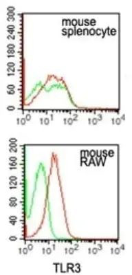 TLR3 Antibody in Flow Cytometry (Flow)