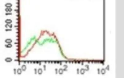 TLR3 Antibody in Flow Cytometry (Flow)