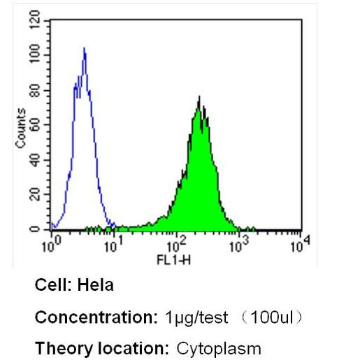 beta Tubulin Loading Control Antibody in Flow Cytometry (Flow)