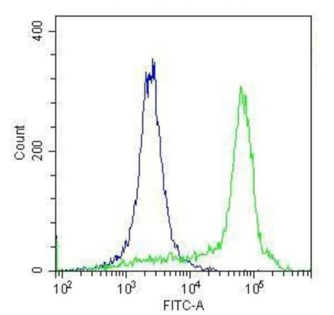 Rabbit IgG Isotype Control in Flow Cytometry (Flow)