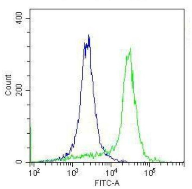 Rabbit IgG Isotype Control in Flow Cytometry (Flow)